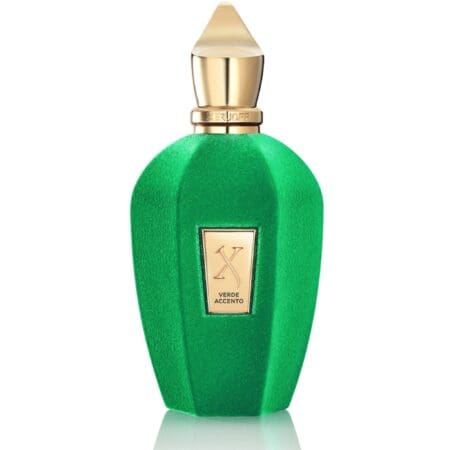 2592 VERDE ACCENTO XERLOFF 100ml EDP