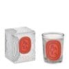 2991 DIPTYQUE  Graphic Collection Baies Candle (190g)