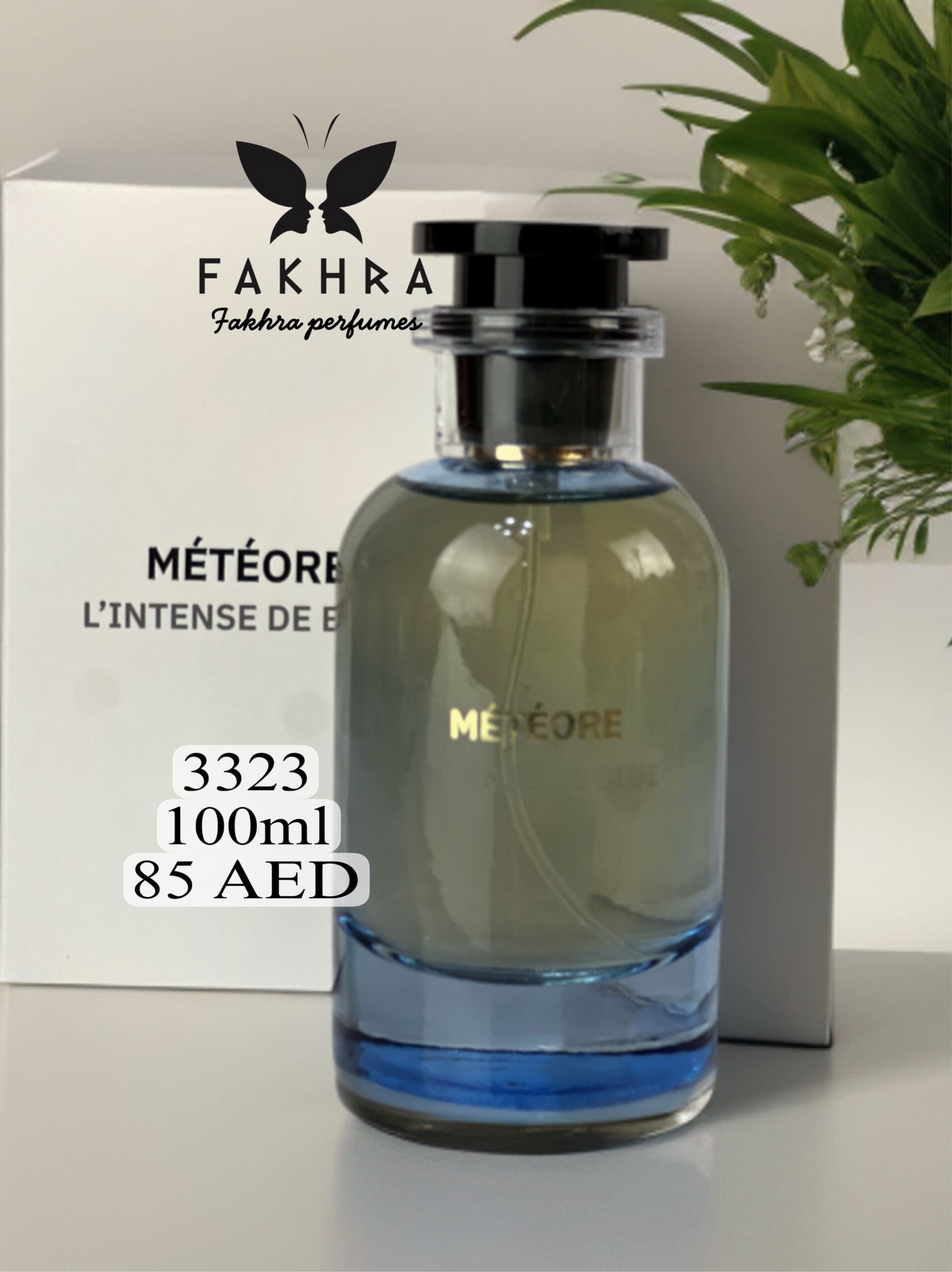 METEORE 100ml - 香水(男性用)